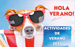 Actividades de Verano 2024